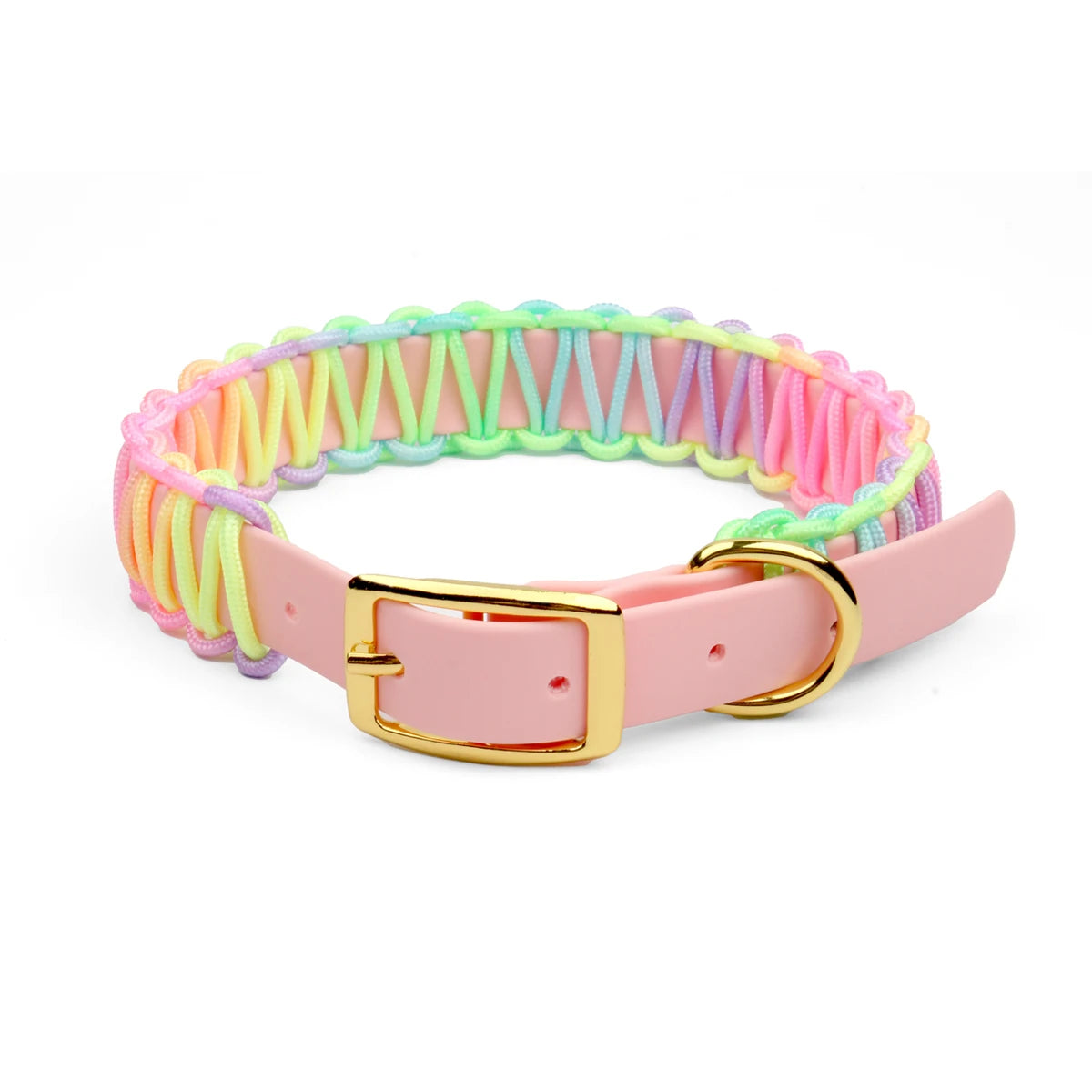 Halsband und Leinen-Set “Rainbow Love”