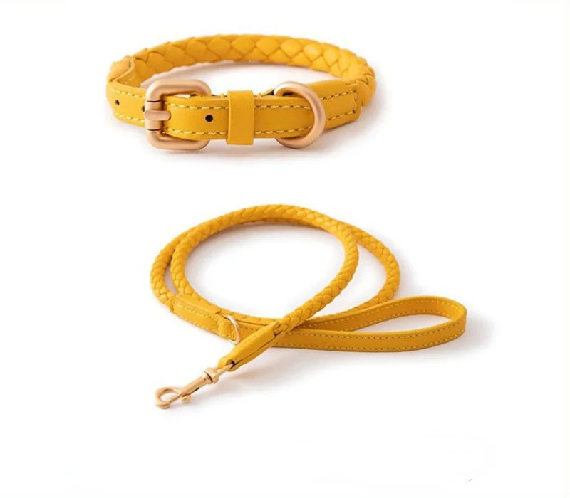 Leder Hundehalsband und Leine Set "Braided'N'Style"